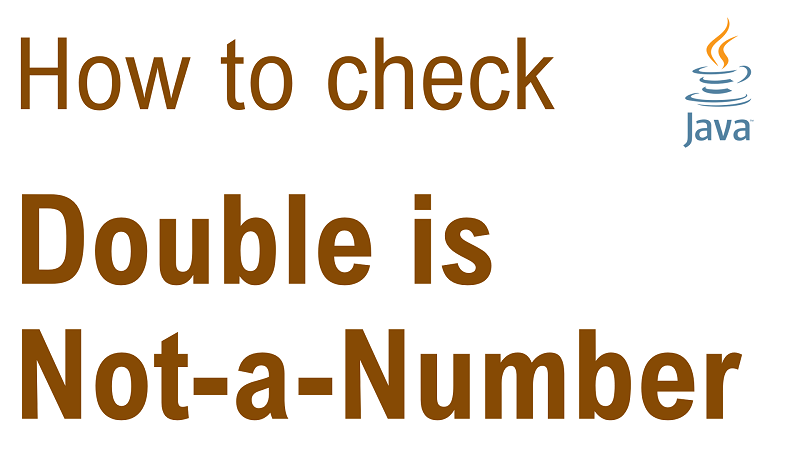 Java Check Double is Not-a-Number (NaN)