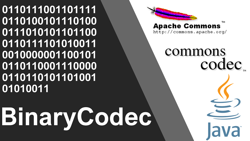 Encode and Decode String to Binary Format in Java using Apache Commons Codec